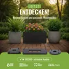 PFLANZWERK® Pflanzenroller Ø 28cm Pflanzkübel Blumentopf Produktbild-Vorschau 8