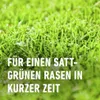 Turbo-Rasendünger Compo 5 kg 130 m² organisch-mineralischer Produktbild-Vorschau 2