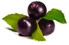 Ponthier ACAI-BEERE-Frucht-PÜREE 1KG Produktbild-Vorschau 4
