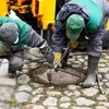 2 Stück 60cm Kanalhaken Schachthaken Kanaldeckelheber Haken Produktbild-Vorschau 3