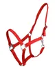 QHP Halter Slide Hellrot - Shet Produktbild-Vorschau 1