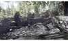 BANDAI NAMCO Entertainment The Witcher 3: Wild Hunt Game of Produktbild-Vorschau 5