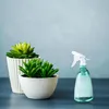 Sprühflasche 500 ml 3er Set nachfüllbar auslaufsicher Produktbild-Vorschau 2