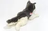 A plush toy husky dog lying down on a white background. Produktbild-Vorschau