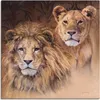 ARTland Leinwandbild Löwen Größe: 70x70 cm Produktbild-Vorschau 1