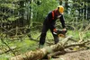 Texas Akku Kettensäge CSZ 5800 Produktbild-Vorschau 5