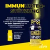 PULS Nutrition Energie Shot Ingwer 60ml, 12er Pack – Produktbild-Vorschau 4