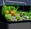 Dennerle Nano Tank Plant Pro, 35 litres Voir les images du produit 5
