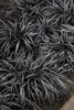 Stauden Gänge 3 x Ophiopogon planiscapus 'Niger' im 1 Liter Produktbild-Vorschau 5