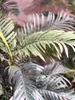 Dattelpalme Phönixpalme künstliche Pflanze H. 90cm im Topf Produktbild-Vorschau 2
