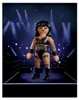 PLAYMOBIL WWE® Rhea Ripley, altri articoli Anteprima dell’immagine prodotto 7