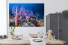 MuchoWow® Poster Koralle unter Wasser 180x120 cm - Produktbild-Vorschau 3
