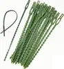 INF 50 Packungen 11 cm Pflanzenbinder für den Garten, Produktbild-Vorschau 1