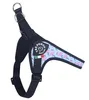 Tre Ponti Geschirr Easy Fit Vibes Avocado Flamingo verst. Produktbild-Vorschau 5