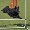 UISEBRT zestaw płotków agility dla psów sprzęt agility dla Podgląd zdjęcia produktu 10