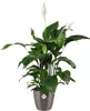 elho brussels Diamond Rund 16cm Übertopf - oyster pearl Produktbild-Vorschau 7