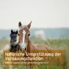 Two horses in a field with text overlay. Produktbild-Vorschau