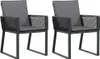 vidaXL Gartenstühle mit Kissen 2 Stk. Schwarz Poly Rattan Produktbild-Vorschau 1