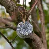 3 x 12 Stk. Lyra Pet® Riesenring mit Sonnenblumenkernen Produktbild-Vorschau 7
