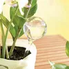 Kulki nawadniające - 8 szt. Gardłowa 21043 Podgląd zdjęcia produktu 7
