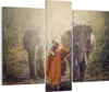 Bild auf Leinwand - Leinwandbild - Elefant Mönch Dschungel Produktbild-Vorschau 1