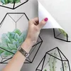 Coloray Fototapete 250x250 cm An Einer Wand Latex Produktbild-Vorschau 3