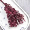 Ruscus Stabilisierte - (Ruscus) - Kirschrot Produktbild-Vorschau 6