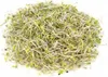 Brokolice - semínka na klíčení 10 g BIOMISKA Náhled obrázku produktu 2