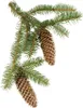 Fichtenöl 1 kg 1 l 1000 ml - Großhandel | Aromatherapie Produktbild-Vorschau 4