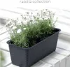 A dark grey planter filled with white flowers sits on a white wooden surface. Voir les images du produit