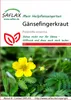 Artikelbild 1 von 'Gänsefingerkraut' aus der Kategorie Blumensamen Podgląd zdjęcia produktu