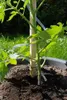 KHW-Tomatenhut inklusiv Stab und Schutzfolien. Anzuchthilfe Produktbild-Vorschau 12