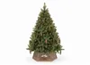 A decorated Christmas tree on a white background. Voir les images du produit