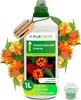 Purgrün Wandelröschen-Dünger 1 Liter, Produktbild-Vorschau 1