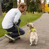 Ruffwear Flagline Geschirr Lichen Green M Produktbild-Vorschau 14