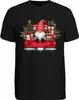 Weihnachtszwerg Truck Wichtel Gnom - Weihnachten Xmas Produktbild-Vorschau 2