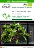 SAFLAX - BIO - Basilikum Thai - Ocimum basilicum - 250 Produktbild-Vorschau 1