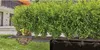 Gardena 13501-20 Tropfbewässerungssystem (13501-20) Produktbild-Vorschau 23