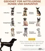 A collage of different dog breeds with text labels, and a silhouette of a dog with measurement indicators. Produktbild-Vorschau