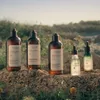 All Hair Types L'Occitane Gentle & Balance Shampoo Produktbild-Vorschau 4