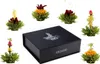 Creano 2er-Set Magnetbox ErblühTee Grüntee und Weißtee Produktbild-Vorschau 4
