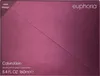 Damenparfüm Euphoria Calvin Klein EDP   160 ml Produktbild-Vorschau 18