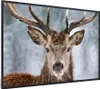 MuchoWow® MuchoWow® Gerahmtes Poster Hirsche - Geweihe - Produktbild-Vorschau 7