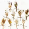 10 Bündel Trockenblumenstrauß, Trockenblume, Getrocknete Produktbild-Vorschau 1