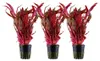 Aquarium Pflanze 3 Stück Alternanthera reineckii 'Pink' Produktbild-Vorschau 1