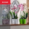 KADAX květináč "Fermo", květináč, plastový květináč, Náhled obrázku produktu 3