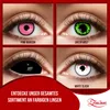 Zoelibat Eyecatcher Sclera 6 Monats-Kontaktlinsen Black Eye Produktbild-Vorschau 15