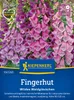 Kiepenkerl Fingerhutsamen Wildes Waldglöckchen Digitalis Produktbild-Vorschau 1