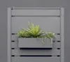 Westmann Metall Blumenkasten Planum Anthrazit 50x12x16 cm Produktbild-Vorschau 3