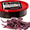 Fishing Expedition Live Worms No.2 - żywe czerwone robaki Podgląd zdjęcia produktu 2